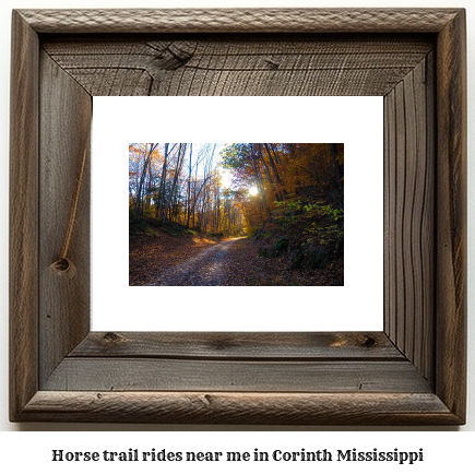 horse trail rides near me in Corinth, Mississippi